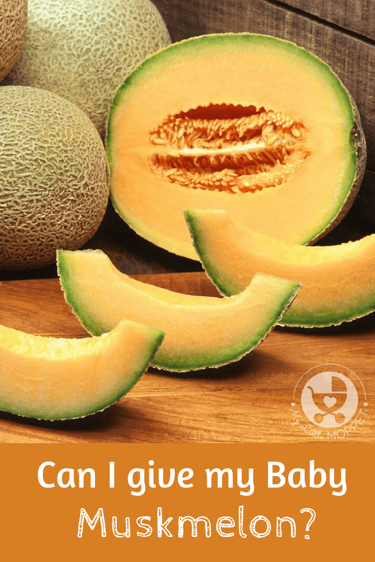 can i give my baby muskmelon?