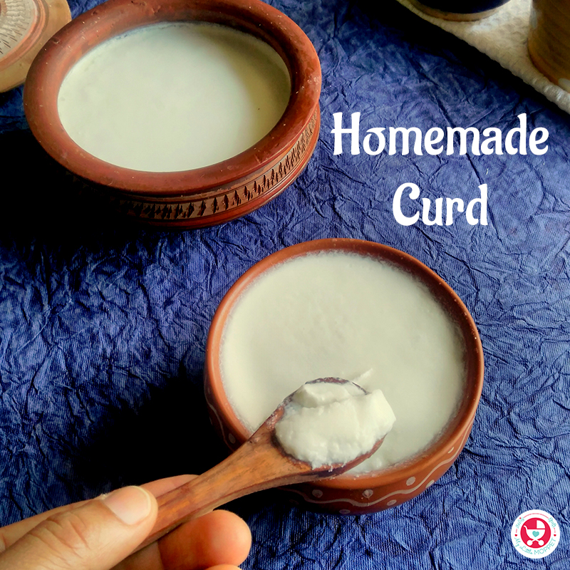 homemade-curd-simple-procedure-of-making-curd