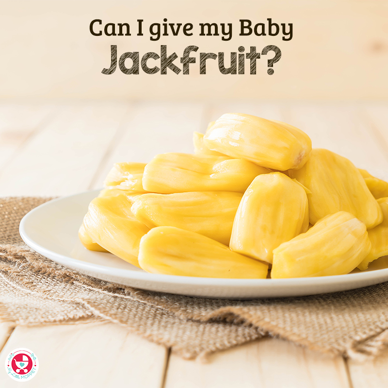 Are you confused when to introduce jackfruit to your baby? Read on to find out when and how to feed your baby this fabulous fruit.